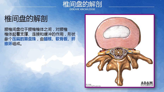 国康健康保险谈腰椎间盘突出