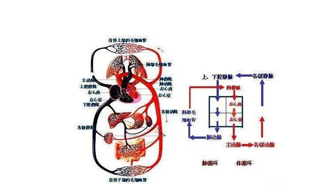 献血这么多次，这三件事，有人告诉你吗？