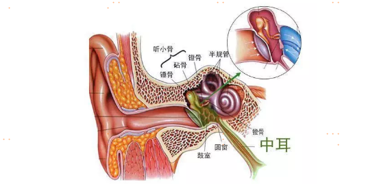 去泳池玩耍，这些知识点要掌握，避免惹一身病回家 第4张