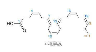 胡萝卜素、叶黄素、DHA都能保护眼睛？