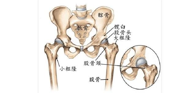 儿童脊柱侧弯的3大危害，和前期的4种预防方式