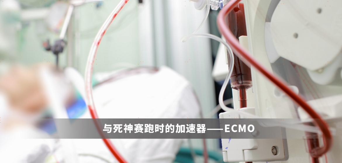 与死神赛跑时的加速器——ECMO