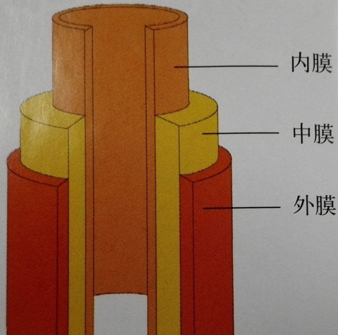 3个中国成年人1个颈动脉硬化，你中招了吗？