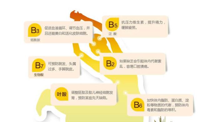 适当吃吃B族维生素，让你舒服过夏季！