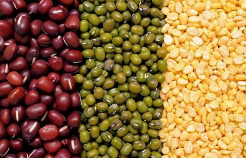 这种日常食品的蛋白质含量竟然比鸡蛋、牛奶都高！