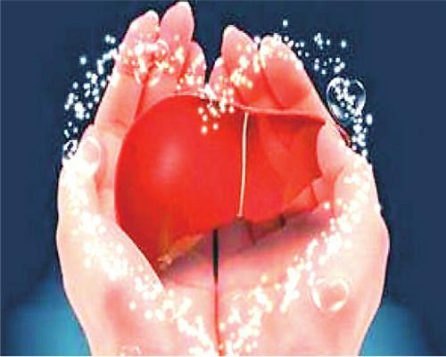 肝脏的6大“杀手”和5大“卫士”，你都知道几个？
