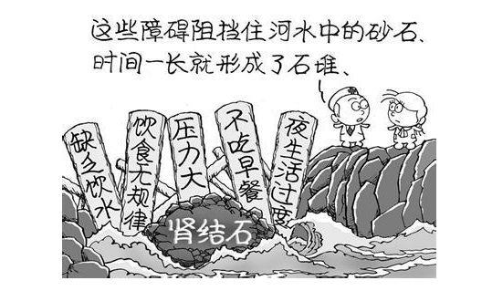 结石到底是怎么来的？怎么预防？读完这三段话你就知道了