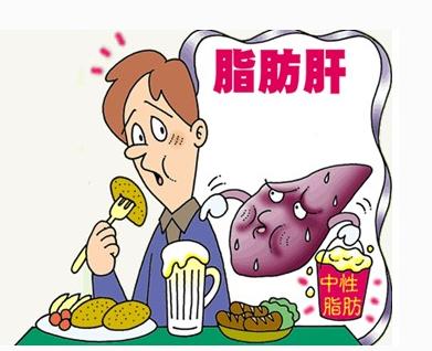 调理脂肪肝，5大有用的饮食生活小建议