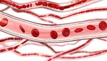 想要拥有健康心血管，锻炼不科学等于白炼！
