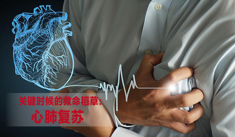 健康保险之心肺