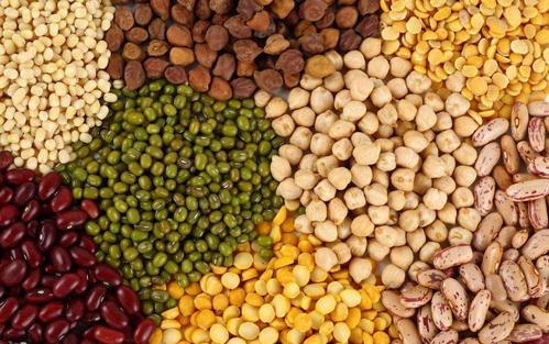 这种日常食品的蛋白质含量竟然比鸡蛋、牛奶都高！