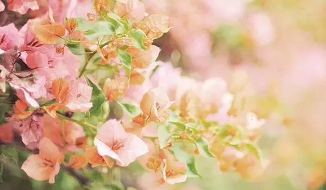 高血压，这么做就对啦！