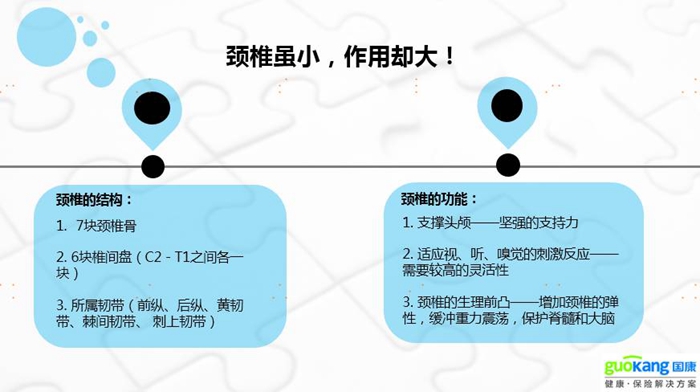 国康健康保险之脊椎：脊椎虽小，作用却打