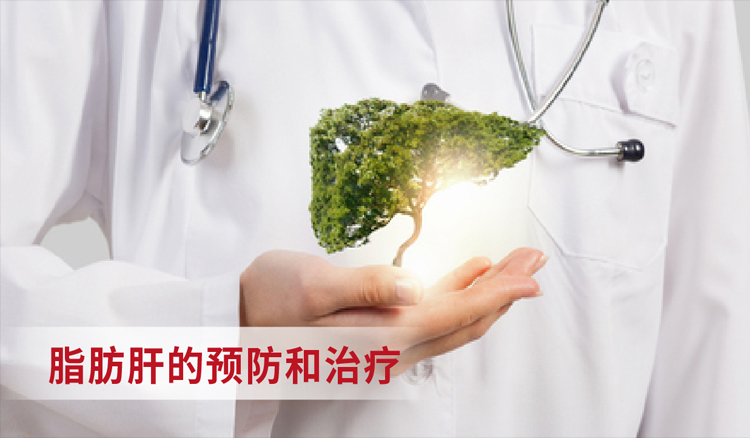 脂肪肝的预防与治疗