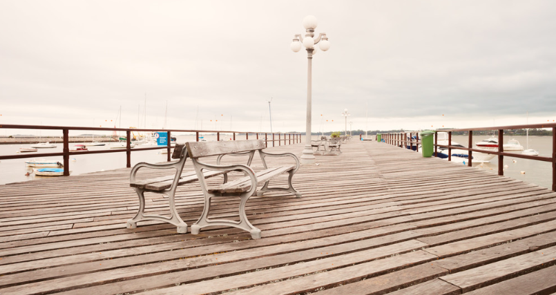 杭州海关首次在第一入境口岸检出基孔肯雅热病例