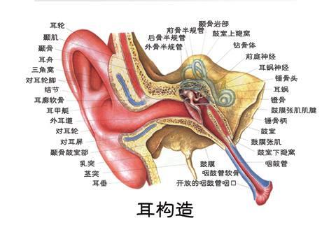 生活中导致眩晕的3种原因，和其治疗办法