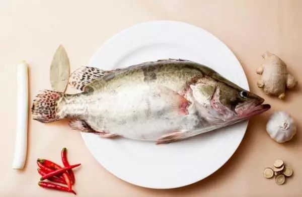 富含维生素b的鱼类