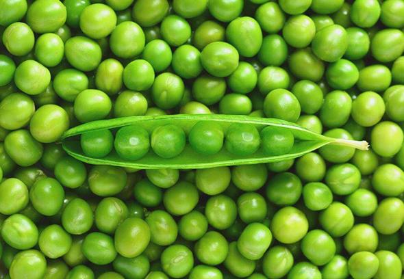 这种日常食品的蛋白质含量竟然比鸡蛋、牛奶都高！