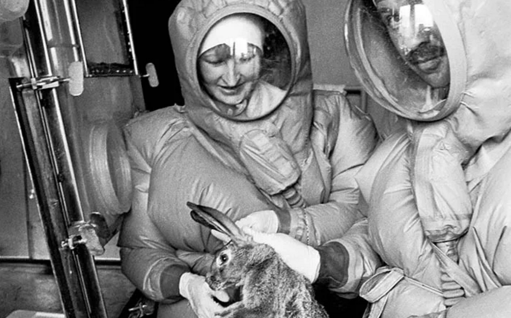 {xunruicms_img_title}