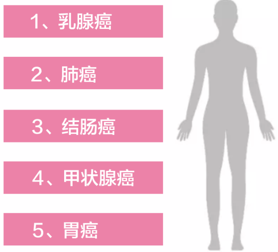 {xunruicms_img_title}