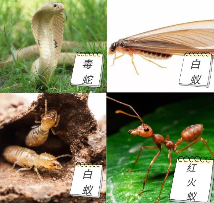 {xunruicms_img_title}