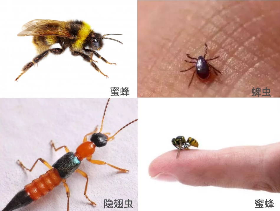 {xunruicms_img_title}