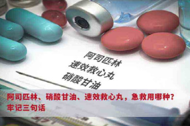 {xunruicms_img_title}