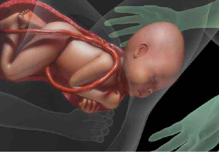 {xunruicms_img_title}