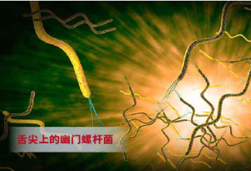 {xunruicms_img_title}