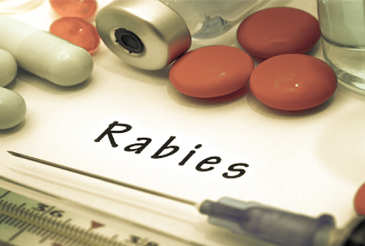 {xunruicms_img_title}