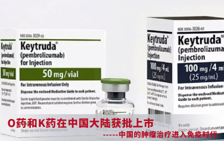 {xunruicms_img_title}