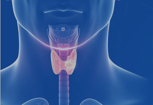 {xunruicms_img_title}