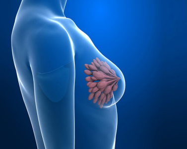 {xunruicms_img_title}