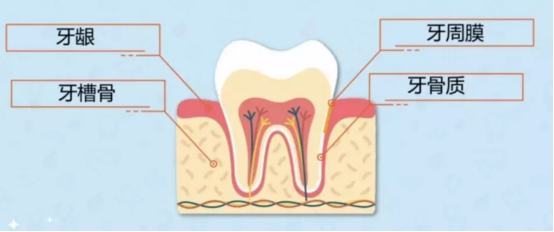 {xunruicms_img_title}