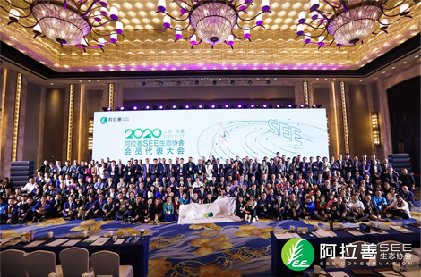 阿拉善SEE2020年会盛大闭幕，国康董事长杨华山出席大会